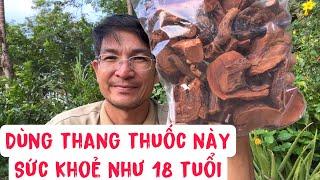 Dùng rễ này sức khoẻ như 18 tuổi. PHAN HẢI Channel