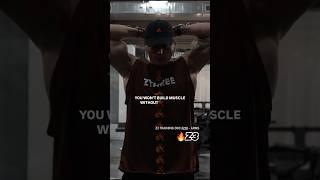 Z3 Training Doc #228 - Arms #ZTHREE #Z3 #Z3Training #PatBurnz