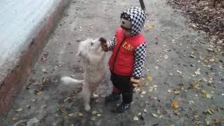VID 20191022 075015