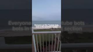 Everyone act like Youtube bots in the comments | #comment #viral #bots