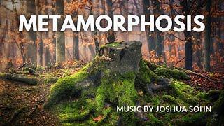 Metamorphosis (ft. Sandro Friedrich) | Mystical-Drama by Joshua Sohn