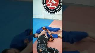 Удушающий приём Анаконда (Anaconda Choke)