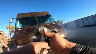 Washing Big Brown