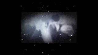 Video di Pepiyos la nostra perla del giorno 5/4/2025 #pepiyos #pepiyos #giuseppemancini