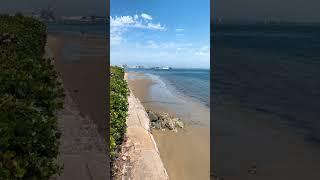 Experience Coronado Island - The Incredible Beauty #shorts