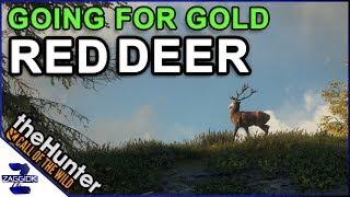 Going For Gold Red Deer Call of the Wild