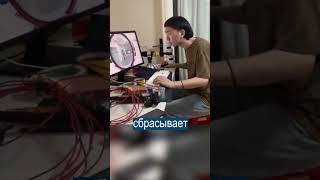 На собственной шкуре: самая реалистичная игра