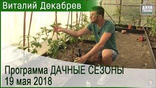 Дачные сезоны с Виталием Декабревым. 19 мая 2018 (104)