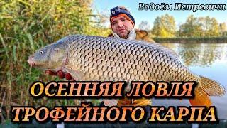 Осенняя ловля трофейного карпа, оз. Петревичи, Беларусь