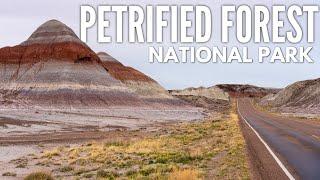 Petrified Forest National Park in Arizona: A One Day Travel Guide