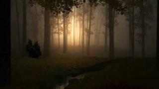 Message To Bears- Running Through Woodland