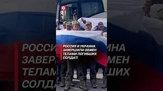 Россия и Украина завершили обмен телами погибших солдат! #россия #украина #новости #политика #война