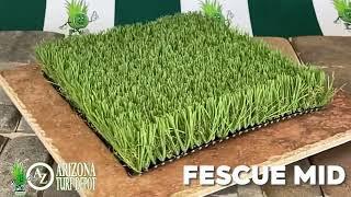 AZ Turf Depot FESCUE MID - Realistic, Lush & Low-Maintenance Turf!