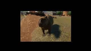 Capybara Planet Zoo #shorts #animal #animals #capybara