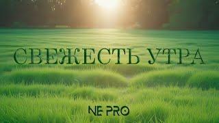 NE PRO -  Свежесть утра #новинки клипов 2024 #музыкальные новинки #новинки клипов