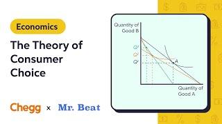 The Theory of Consumer Choice Ft. Mr. Beat