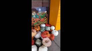 NATIONAL PUMPKIN DAY FESTIVAL COOMING SOONEST IN THE  USA