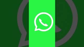 WhatsApp logo animation in after effects  ... #aftereffects #animation @WhatsApp