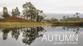 First Signs of Autumn - Landscape Photography in Torridon