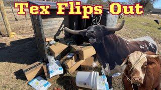 Tex Flips Out