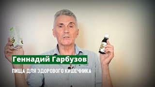 Здоровый кишечник: какая пища полезна для нашего пищеварения?