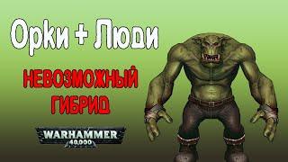 Орки + люди. Невозможные гибриды ксеносов и людей (Warhammer 40000)