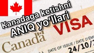 Kanadaga qonuniy va oilaviy ketish yo’llari. Immigratsiya, viza, PR, doimiy yashash…