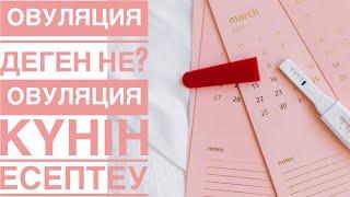 ОВУЛЯЦИЯ ДЕГЕН НЕ? ОВУЛЯЦИЯ КҮНІН ЕСЕПТЕУ. НЕ ҮШІН МАҢЫЗДЫ?@Айдана Хидиралиева