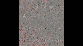 Marine Molecule on human HT1080 Fibrosarcoma cells