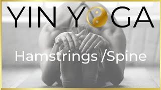 Enhance Flexibility in 1 Hour: Yin Yoga for Hamstrings & Spine