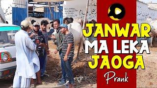 | JANWAR MA LEKA JAOGA | By Nadir Ali & Team in | P4 Pakao | 2021