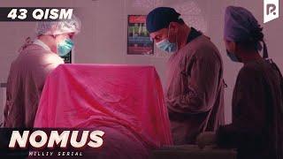 Nomus 43-qism (milliy serial) | Номус 43-кисм (миллий сериал)