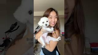My updated MORNING ROUTINE?! ft. my @ipsy glam bag & my new dog #ipsypartner #skincare