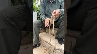 WoW, Flying Bowline Knot in Seconds.