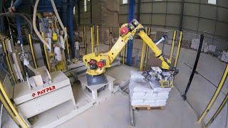 One Robot for Automatic Valve Bag Filling and Stacking