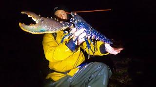 MONSTER MALE LOBSTER FORAGED - Catch & Cook ! Foraging Extreme Low Tides at Night
