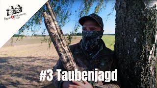 Taubenjagd | Zwei Jäger locken und tarnen| Niedersächsischer Jäger–mit Teppe und Schwenen op Jagd