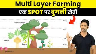 Multi Layer Farming: एक खेत में कई फसलें उगाकर Income बढ़ाएं! Step-by-step guide in Hindi