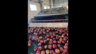 ESPOMAK FRUIT WASHING AND DRYING