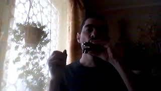 Diggy liggy lo on harmonica Christian Labrecque cover #stratocastro #harp #губнаягармошка