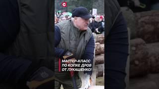 Мастер-класс по колке дров от Лукашенко! #лукашенко #политика #новости #колкадров #беларусь