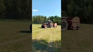 Прессуем сено на пресс-подборщике Welger с трактором Massey Ferguson #полевые #мтз