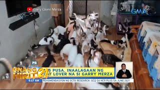 Unang Hirit: Cat lover, may 105 alagang pusa!