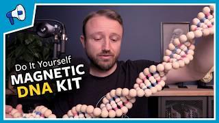 Make Your Own Magnetic DNA Model: Stated Clearly