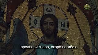 Утреннее правило (субтитры)