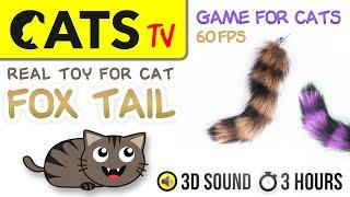 GAME FOR CATS - Catch real raccoon tails  3 HOURS [CATS TV] 60FPS