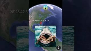 Huge sharkon Google Earth #shorts #googlemaps #googleearth #armkien