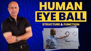 Eye Anatomy | Human Eye Ball | Structure and Function