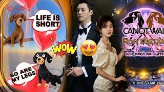 Delightful! Zhao Lusi and William Chan unveil a unique fashion line inspired by their beloved pets.
