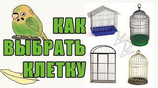 КЛЕТКА ДЛЯ ПОПУГАЯ | КАК ВЫБРАТЬ УДОБНУЮ КЛЕТКУ ДЛЯ ПОПУГАЕВ | ОБЗОР КЛЕТОК